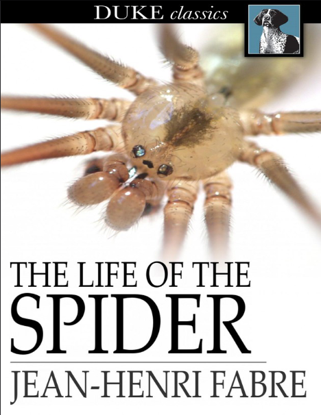 غلاف كتاب The life of the spider بقلم جان هنري فابر غلاف كتاب The life of the spider بقلم جان هنري فابر